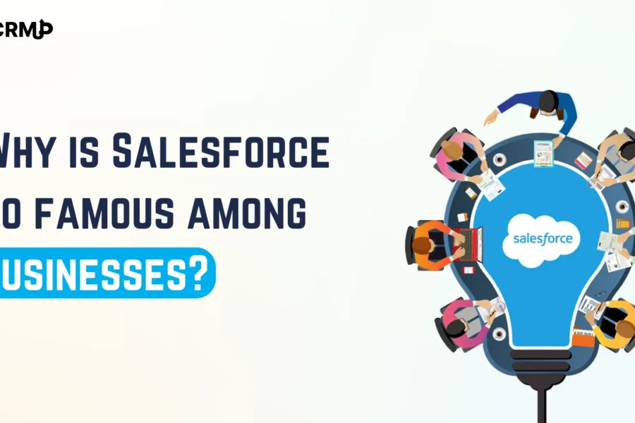 Why is Salesforce so famous among businesses